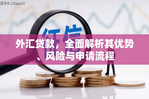枣庄外汇贷款，全面解析其优势、风险与申请流程