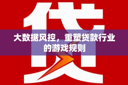 枣庄大数据风控，重塑贷款行业的游戏规则