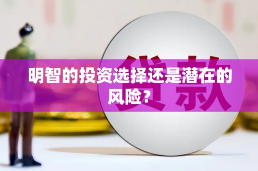 枣庄明智的投资选择还是潜在的风险？