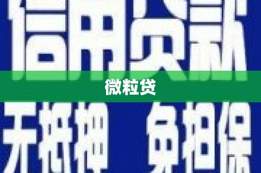 枣庄微粒贷