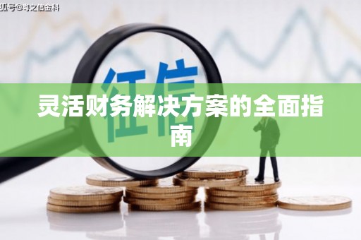 枣庄灵活财务解决方案的全面指南