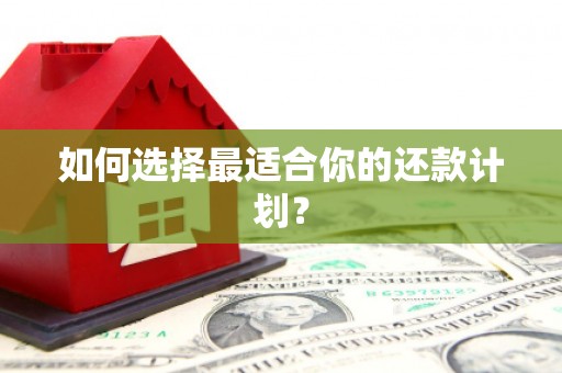 枣庄如何选择最适合你的还款计划？