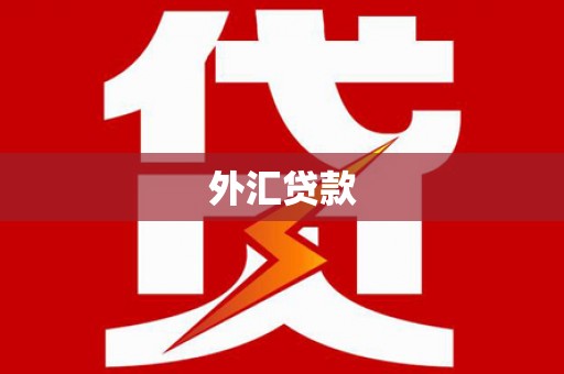 枣庄外汇贷款
