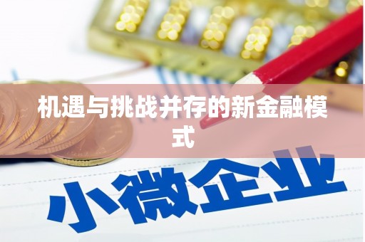 枣庄机遇与挑战并存的新金融模式