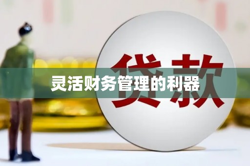 枣庄灵活财务管理的利器