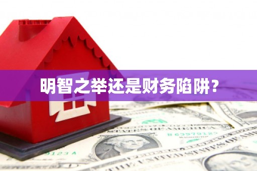 枣庄明智之举还是财务陷阱？
