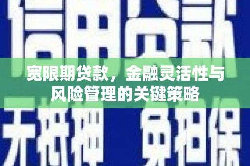 枣庄宽限期贷款，金融灵活性与风险管理的关键策略