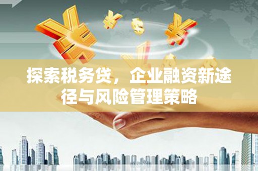 枣庄探索税务贷，企业融资新途径与风险管理策略