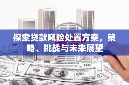 枣庄探索贷款风险处置方案，策略、挑战与未来展望