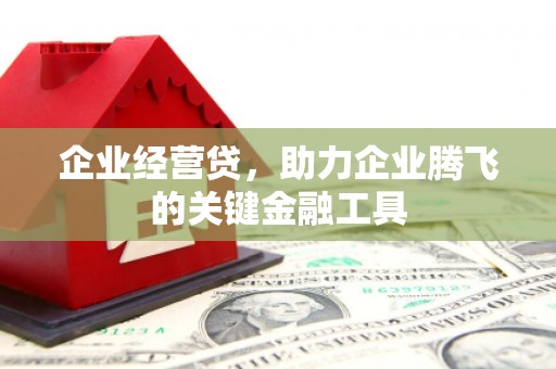 枣庄企业经营贷，助力企业腾飞的关键金融工具