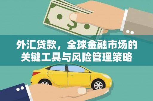 枣庄外汇贷款，全球金融市场的关键工具与风险管理策略