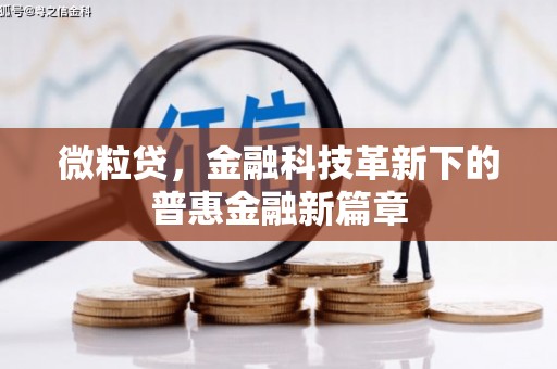 枣庄微粒贷，金融科技革新下的普惠金融新篇章