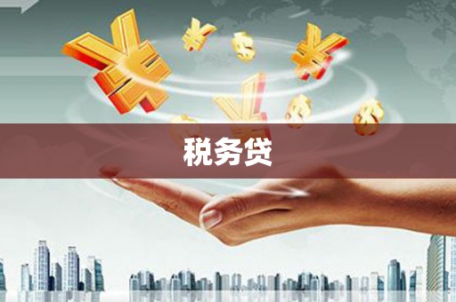 枣庄税务贷