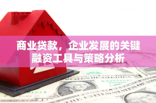枣庄商业贷款，企业发展的关键融资工具与策略分析