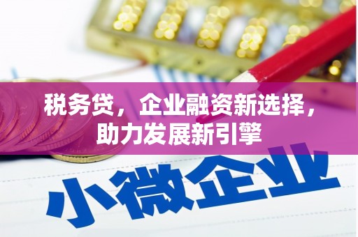枣庄税务贷，企业融资新选择，助力发展新引擎
