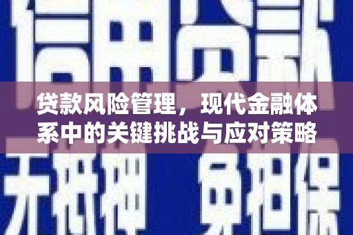 枣庄贷款风险管理，现代金融体系中的关键挑战与应对策略