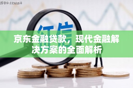 枣庄京东金融贷款，现代金融解决方案的全面解析