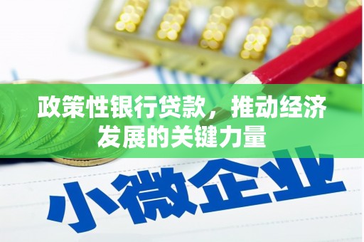 枣庄政策性银行贷款，推动经济发展的关键力量