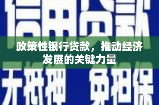枣庄政策性银行贷款，推动经济发展的关键力量