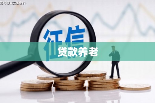 枣庄贷款养老