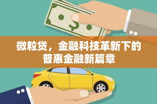 枣庄微粒贷，金融科技革新下的普惠金融新篇章