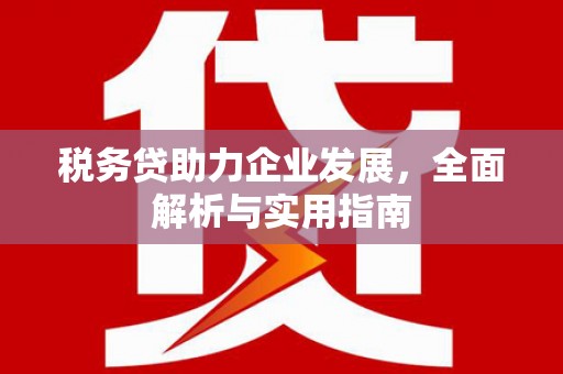 枣庄税务贷助力企业发展，全面解析与实用指南