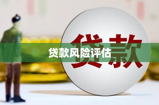 枣庄贷款风险评估