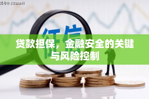 枣庄贷款担保，金融安全的关键与风险控制