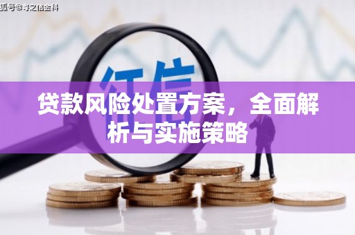 枣庄贷款风险处置方案，全面解析与实施策略